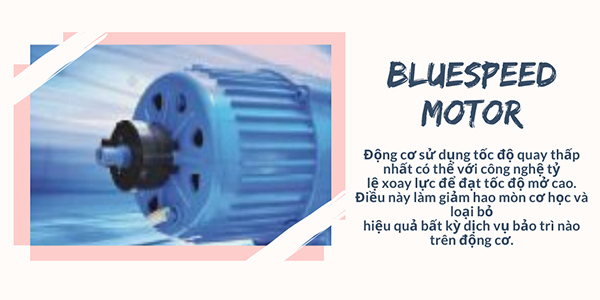 Bluespeed motor